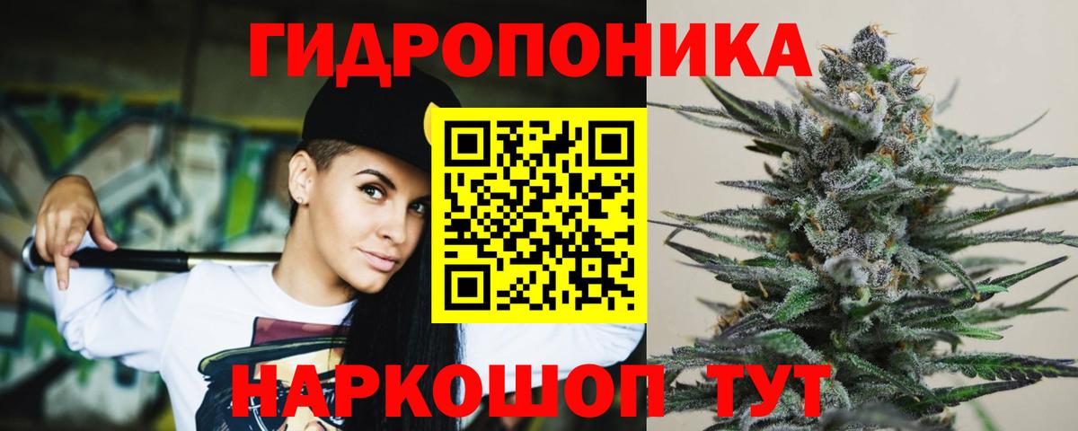 Бошки марихуана тримм  Вход с VPN  Гурьевск  Бошки Шишки марихуана 